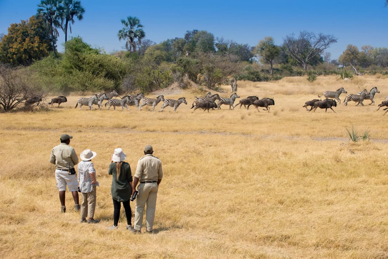 Okavango Delta Safari